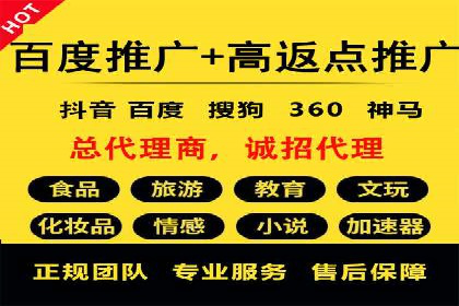 信息流广告的精准定位与效果优化案例分析